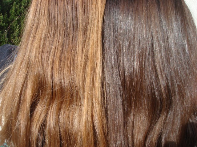 blonde and brunette hair