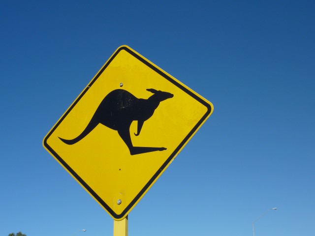 Australia kangaroo crossing